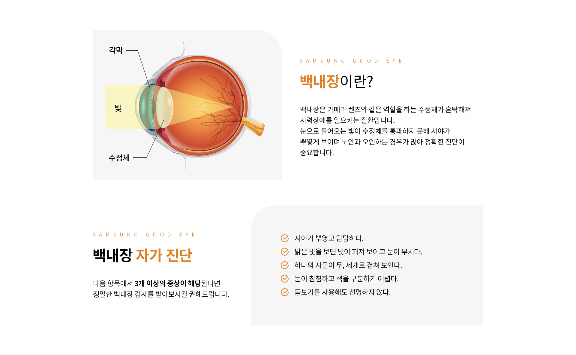 노안/백내장_02