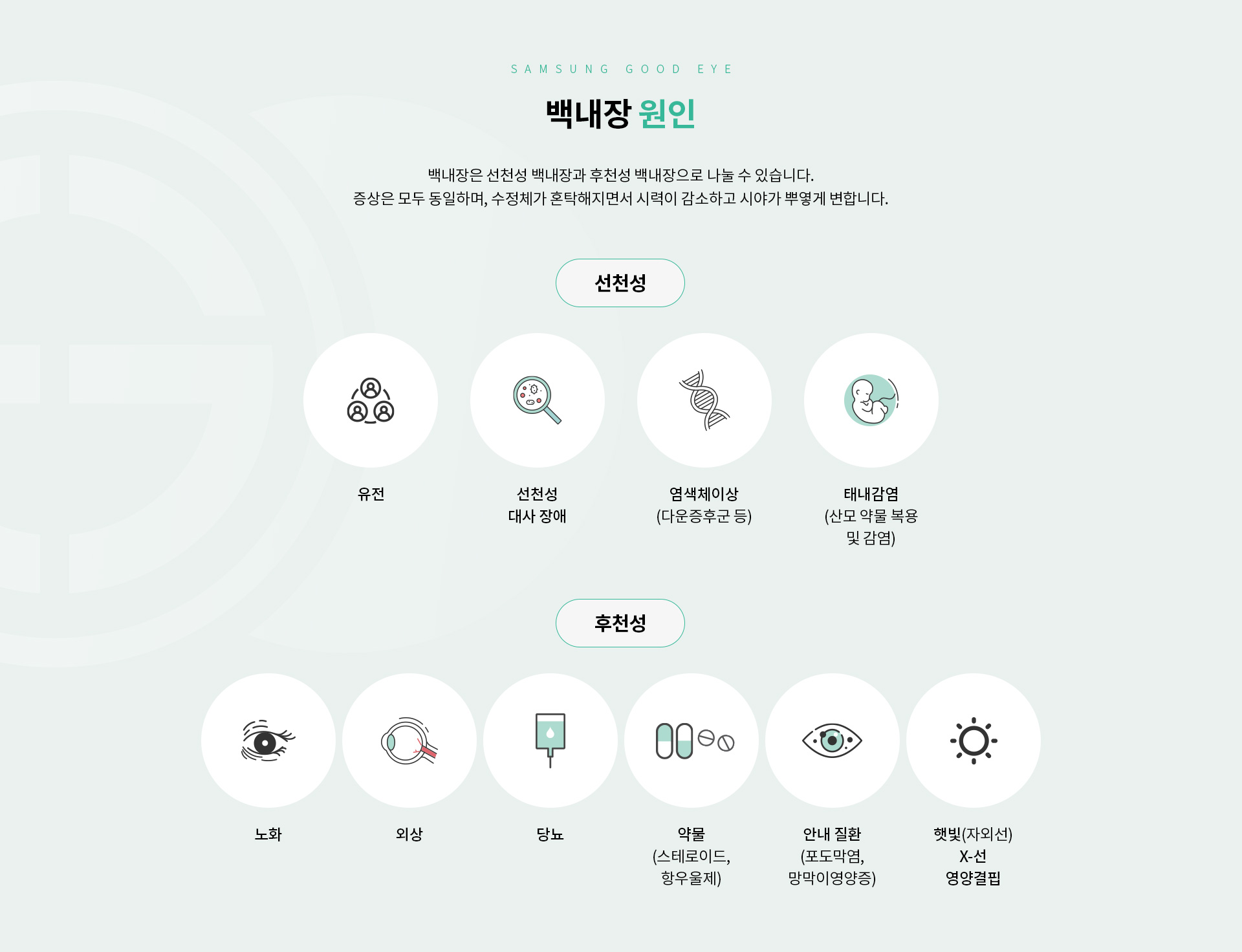 노안/백내장_03