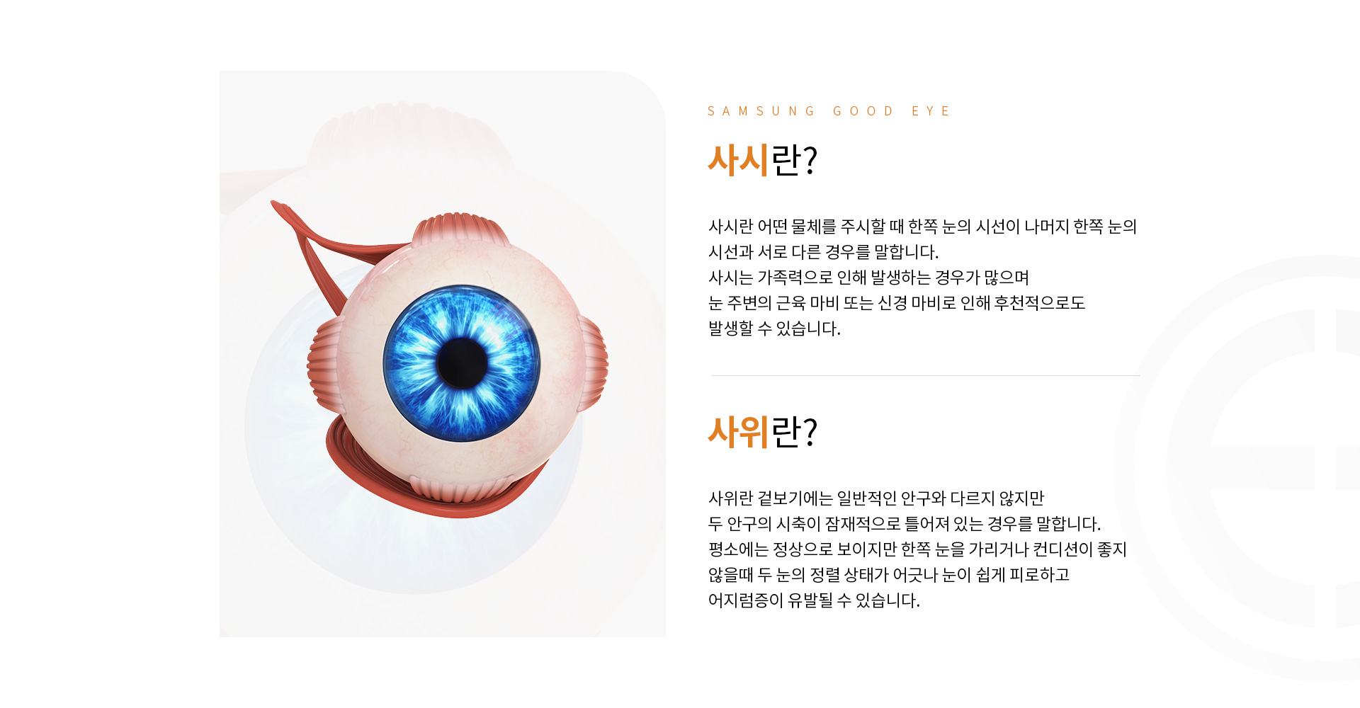사시/사위_01